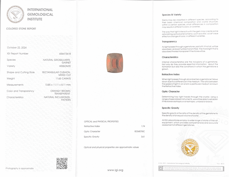 Hessonite (Gomed) - 11.65 Carat (Ceylon)