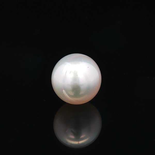 South Sea Pearl - 7.O3 Carat