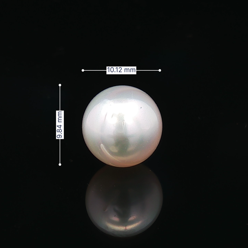 South Sea Pearl - 7.O3 Carat