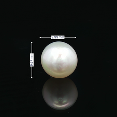 South Sea Pearl (Moti) - 6.47 Carat