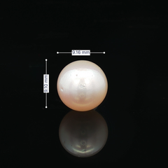 South Sea Pearl (Moti) - 5.41 Carat