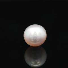 South Sea Pearl (Moti) - 7.56 Carat