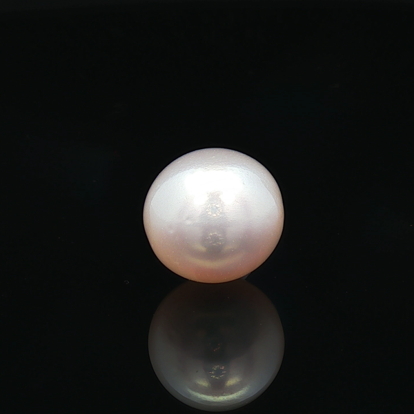 South Sea Pearl (Moti) - 7.56 Carat