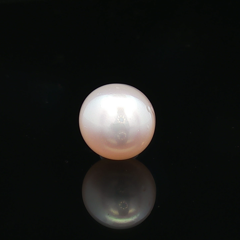 South Sea Pearl (Moti) - 6.33 Carat