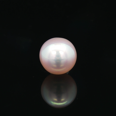 South Sea Pearl (Moti) - 6.81 Carat