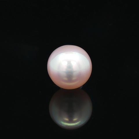 South Sea Pearl (Moti) - 6.81 Carat