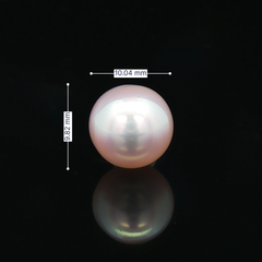 South Sea Pearl (Moti) - 6.81 Carat