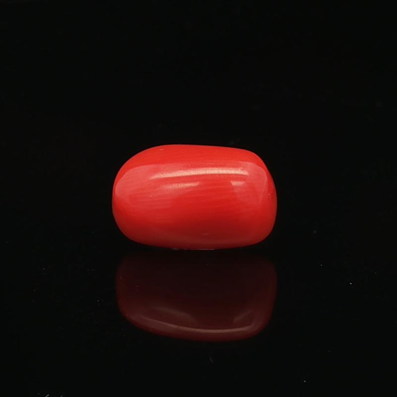 Red Coral - 5.47 Carat