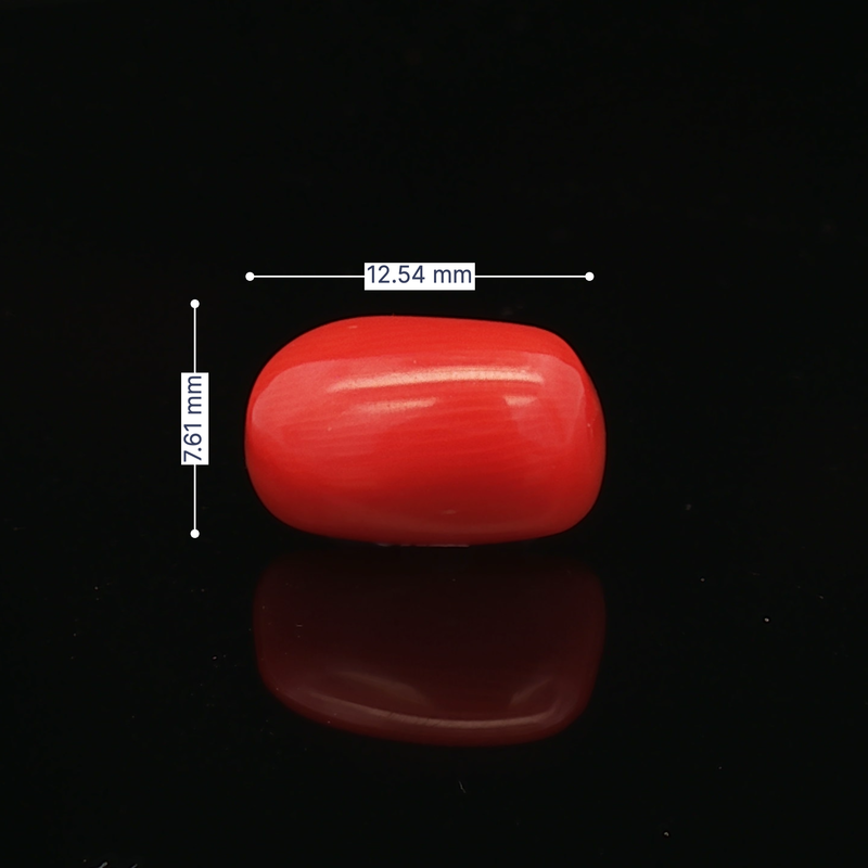 Red Coral - 5.47 Carat
