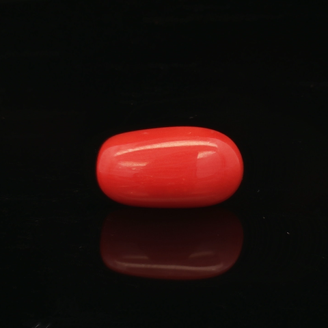 Red Coral - 5.12 Carat
