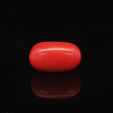 Red Coral - 6.33 Carat