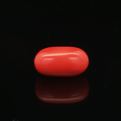 Red Coral - 5.97 Carat