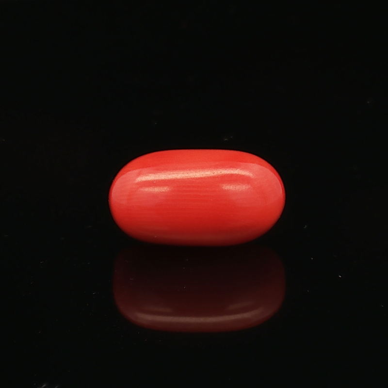 Red Coral - 5.97 Carat