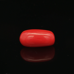 Red Coral -5.22 Carat