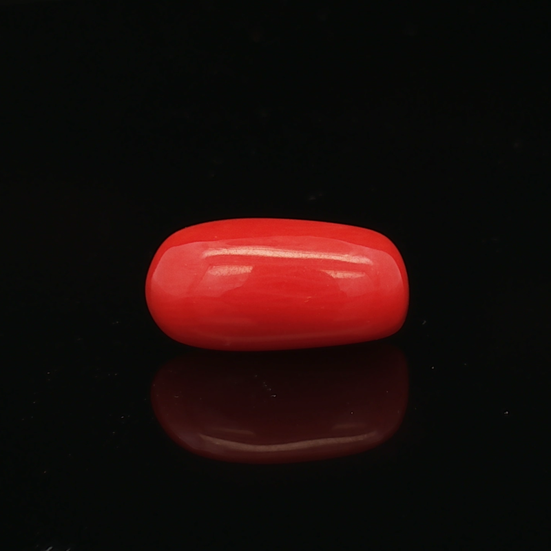 Red Coral -5.22 Carat