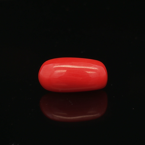 Red Coral -5.22 Carat