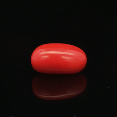 Red Coral - 6.40 Carat