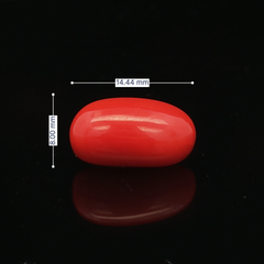 Red Coral - 6.40 Carat