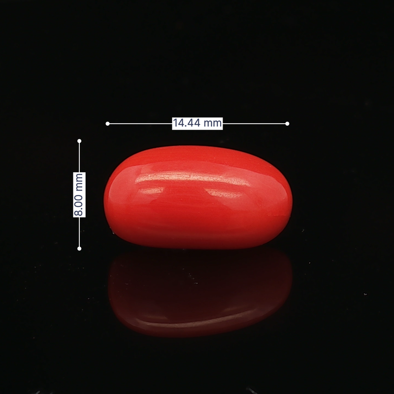 Red Coral - 6.40 Carat