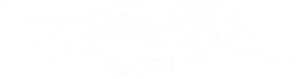 Rahu.com