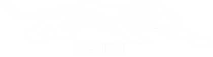 Rahu.com